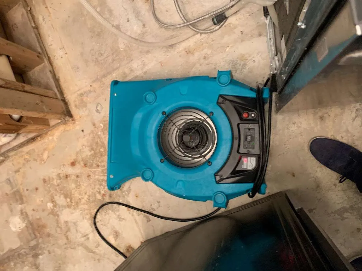 Air mover drying equipment for Mold Remediation & Removal in Venice