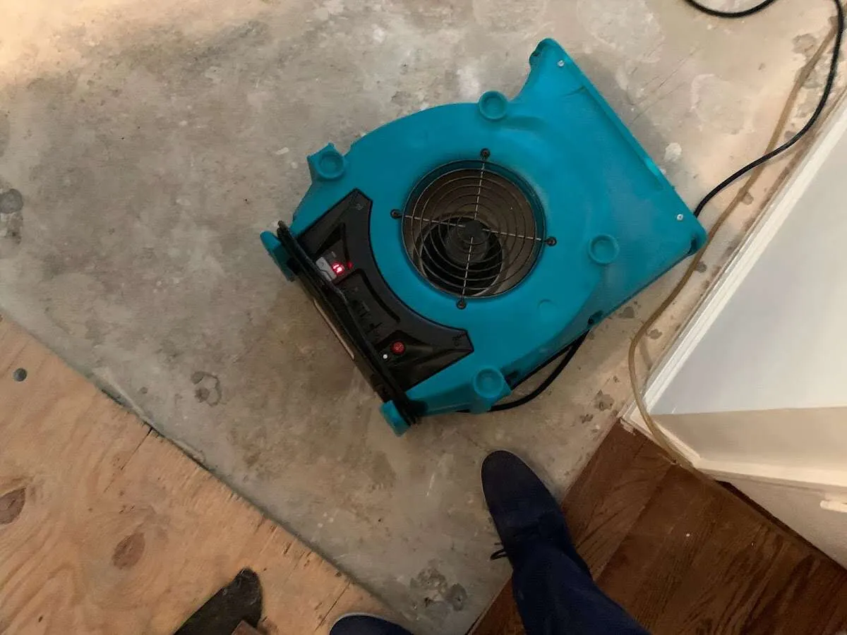 Air mover drying subfloor during Leak Detection & Repair in Venice